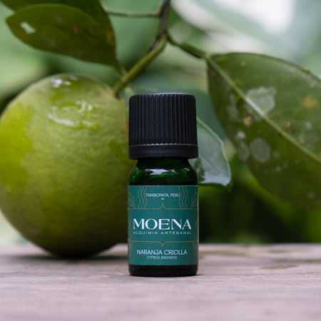 Bottle of Moena Creole Orange Petitgrain Essential Oil - Naranja Criolla essential oil with a green fruit and leaves in the background