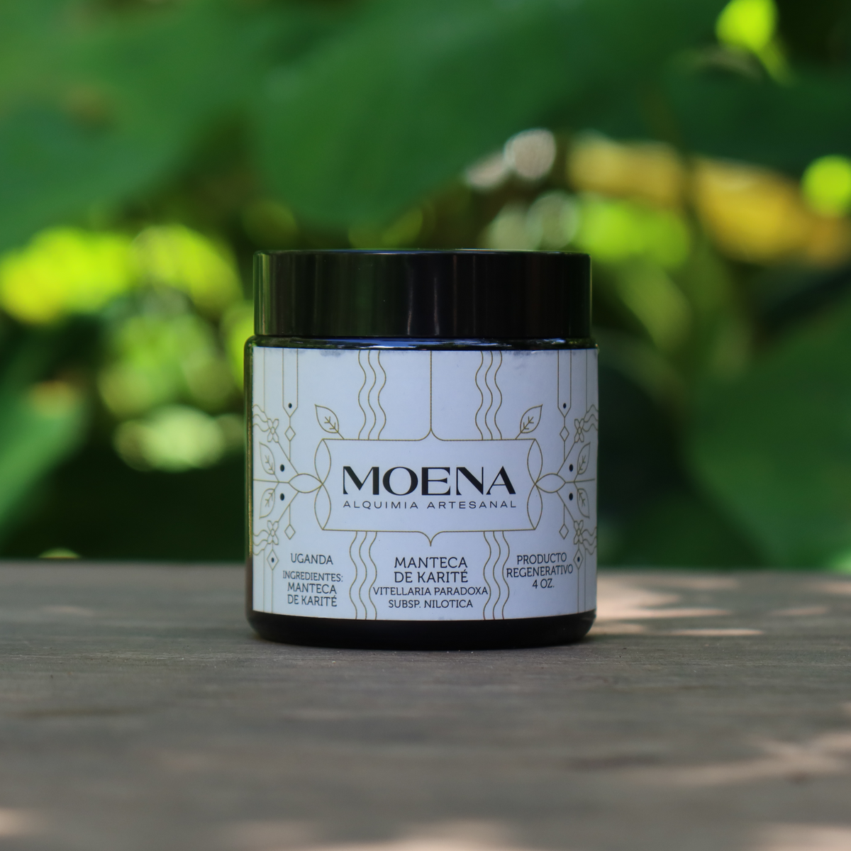 Jar of Organic Nilotica Shea Butter on a wooden surface with a blurred green plant background